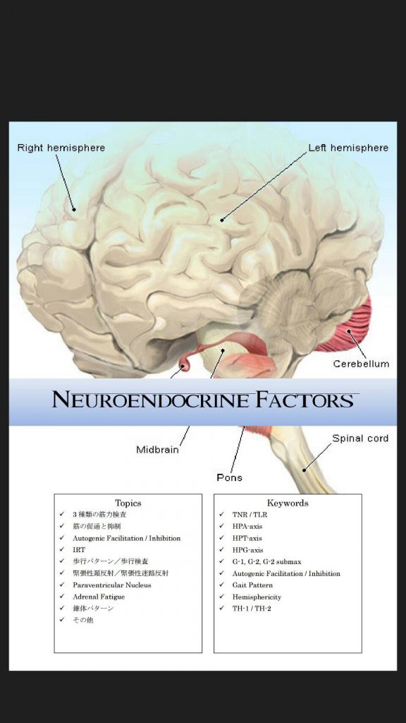 カイロプラクティック神経内分泌学セミナー