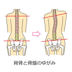 背骨と骨盤の矯正　フィジック恵比寿カイロプラクティック