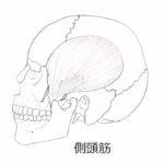 顎関節施術　恵比寿