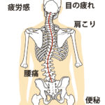 ゆがみの整体　恵比寿