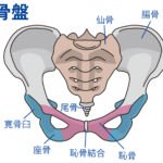 骨盤のゆがみ