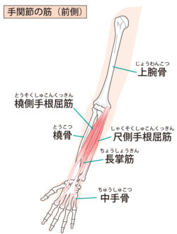 腱鞘炎、手の痛み、肘関節
