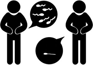 男性不妊　male infertility