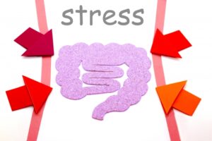 gut stress adrenal