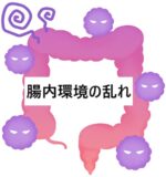 腸内環境の乱れが免疫異常につながる