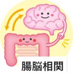 腸内で作られるセロトニンが心の健康を保つ