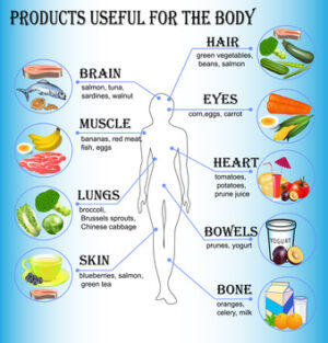 foods useful for the pregnant