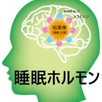 睡眠ホルモン