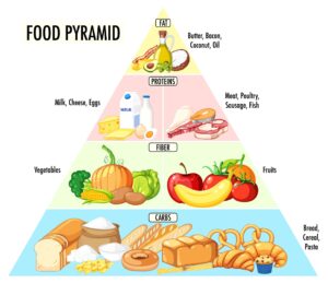 Food nutrition groups pyramid for pregnant