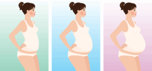 妊婦　姿勢の変化　　