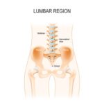 Lumbar chiropractic Tokyo