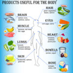 Functional Medicine Support tokyo