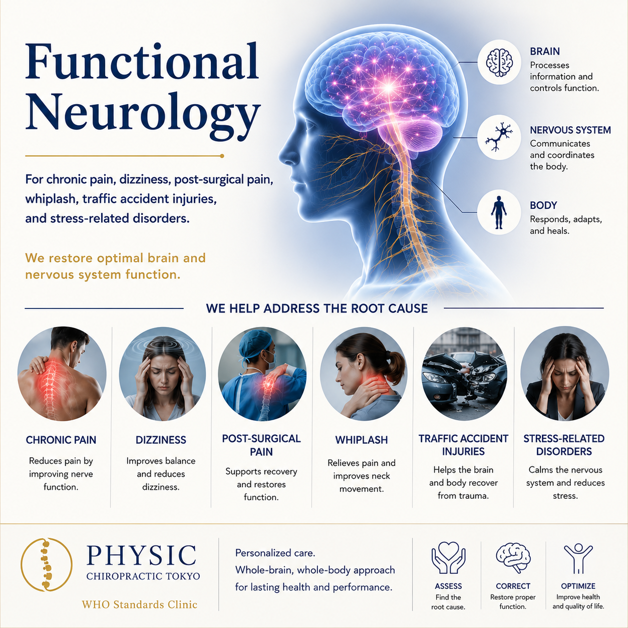 Functional Neurology for chronic pain