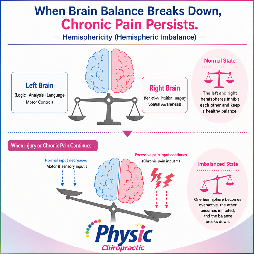 Hemisphericity; Functional asymmetry of the brain