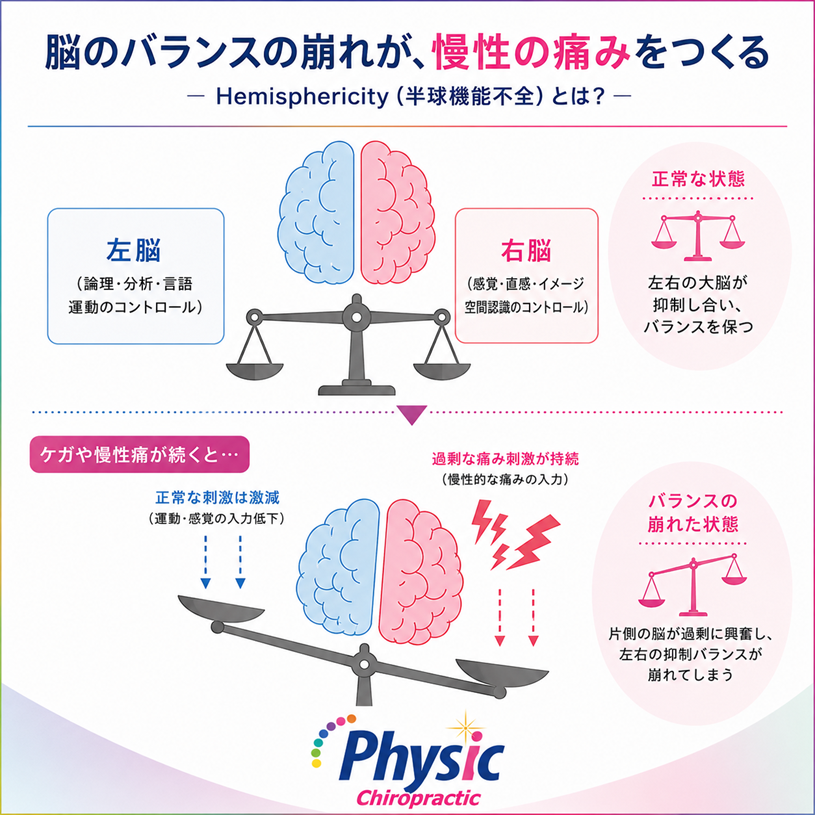 Hemisphericity（ヘミスフェリシティ; 大脳半球の機能的左右差）