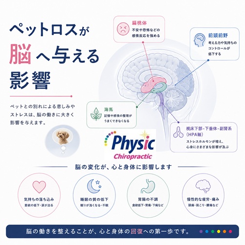 ペットロスが脳に与える影響